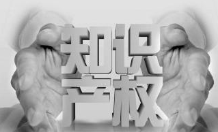 知识产权专门人才能力提升计划实施